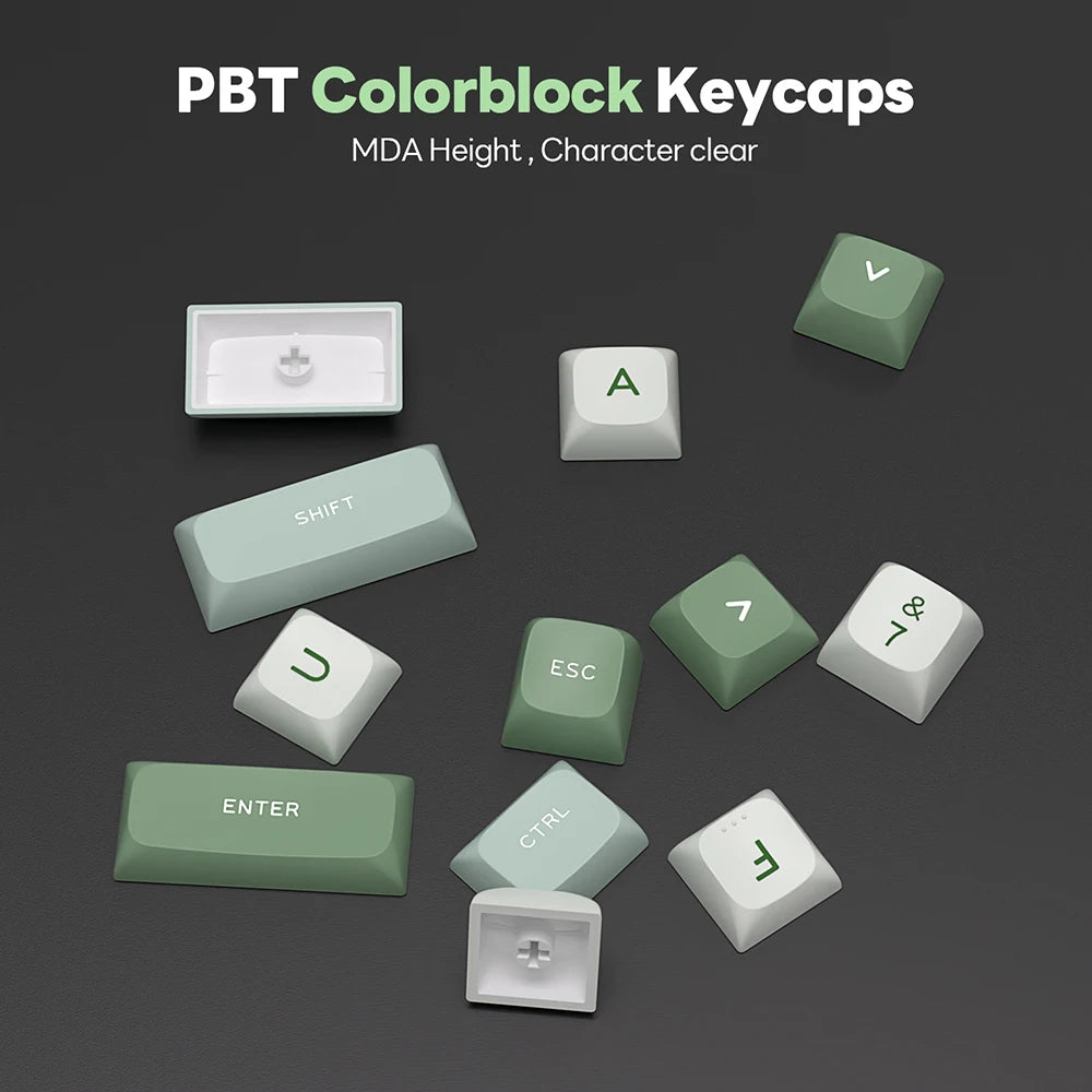 RK Royal Kludge R75 Gasket – Clavier Mécanique Filaire 80 Touches RGB
