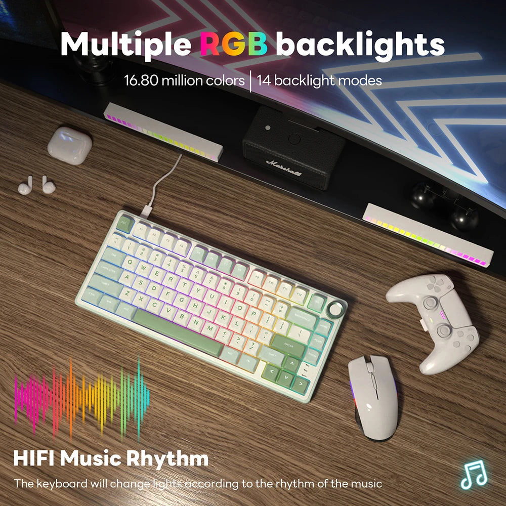 RK Royal Kludge R75 Gasket – Clavier Mécanique Filaire 80 Touches RGB