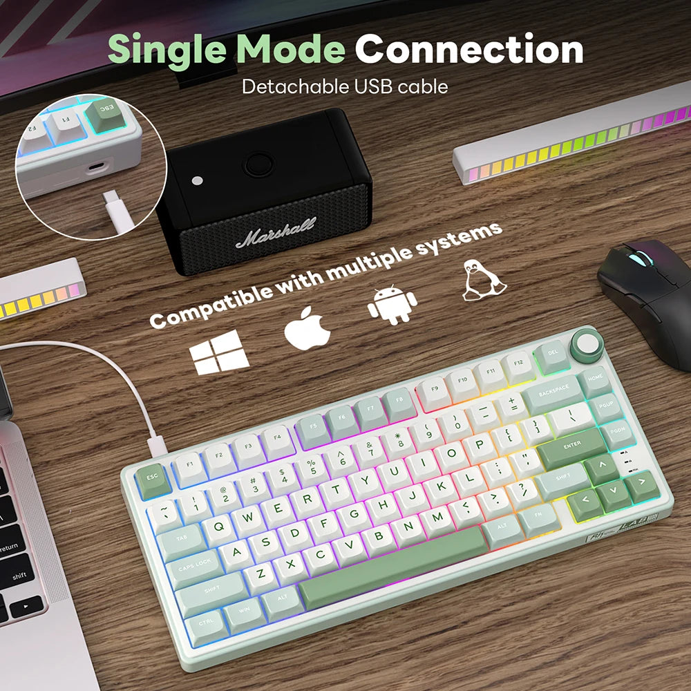 RK Royal Kludge R75 Gasket – Clavier Mécanique Filaire 80 Touches RGB