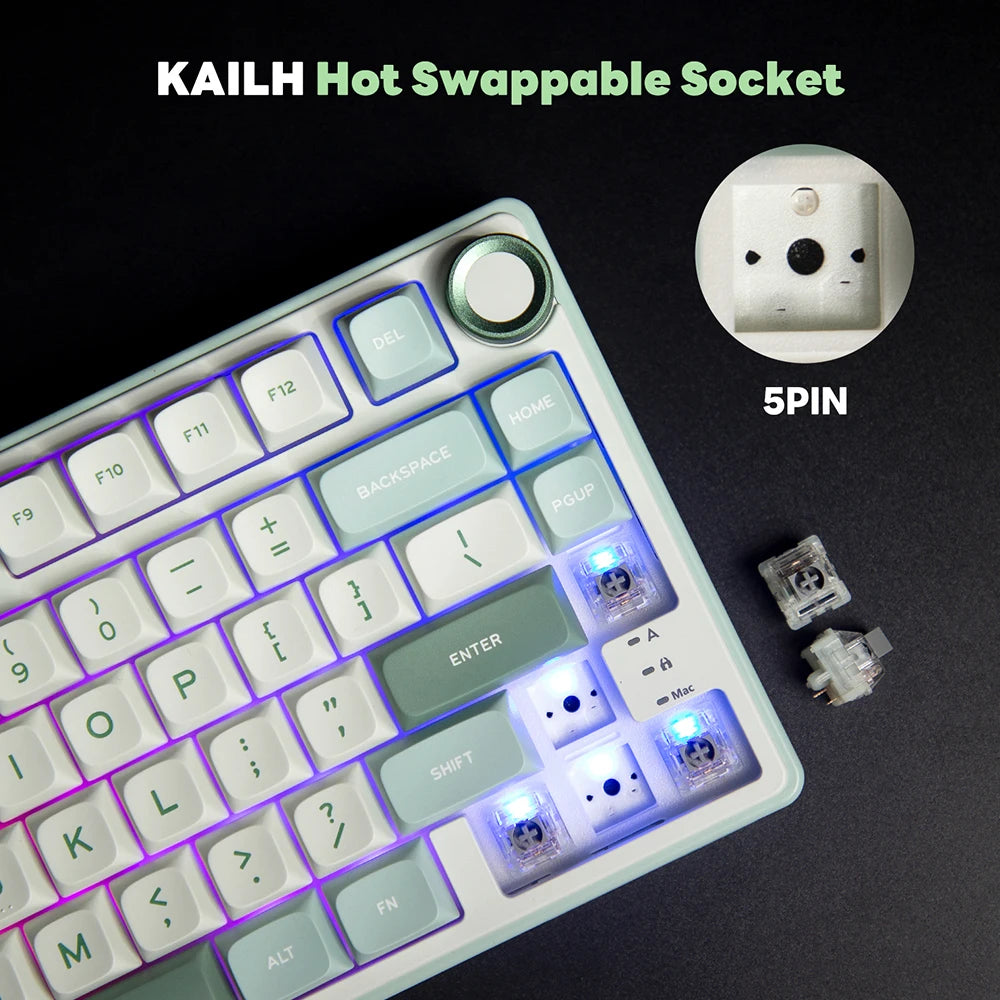 RK Royal Kludge R75 Gasket – Clavier Mécanique Filaire 80 Touches RGB